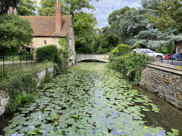 The view outside Cosener's house, Abingdon.